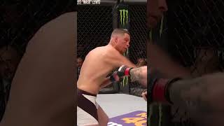 Conor McGregor vs Nate Diaz1 conormcgregor natediaz ufc mma ufcfighters shortsfeed viralshort [upl. by Nylcaj373]