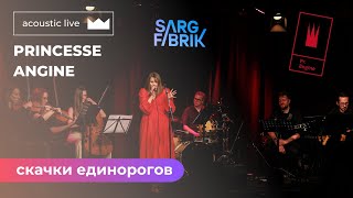 Princesse Angine quotСкачки единороговquot quotSkachki edinorogovquot Acoustic live in Sargfabrik 160224 [upl. by Margarida898]