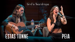 Birds Teardrops  Estas Tonne feat Peia  Ashland Oregon 2018 [upl. by Crudden]