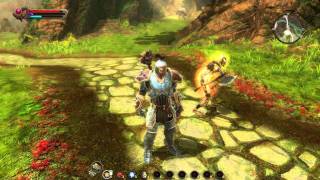 Kingdoms of Amalur Reckoning SkillCombo for Mage Pt 1 [upl. by Nodlehs]