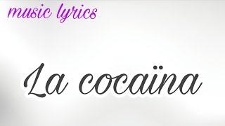 La cocaïna  lyricsparoles [upl. by Genny]