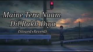 Maine Tera Naam Dil Rakh Diya Slowed  Reverb  New Song Slowed Reverb LoFI  FM LoFI [upl. by Gilbert]