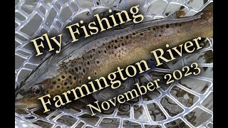 Fly Fishing the Farmington River  November 2023 [upl. by Annoyek522]