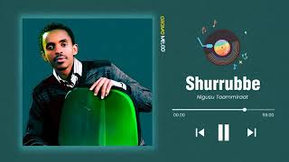 Nigusu Taammiraat Shurrubbe Oromo music 2023 [upl. by Acceber249]