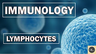 LYMPHOCYTES  IMMUNOLOGY  Part10  LifeScienceMCQs [upl. by Airotahs]