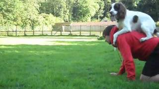 The Amazing Magic Trick Dog  SuperDog [upl. by Virgie]