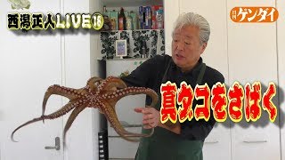 寿司屋も驚く！【西潟正人】簡単？活きタコのさばき方《前編》生タコ刺しは最高！Japanese octopus cookingsashimi [upl. by Laney]