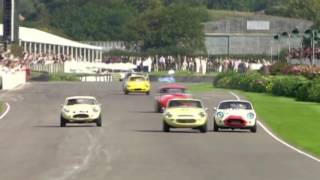 Lenham GT SS1800 Goodwood 2010 [upl. by Icken214]