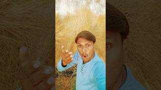 साला आज बाल बाल बच्चे🤓😂मजेदार🤣 funny comedy actarpradeepsaini realfools shorts viralvideo [upl. by Weed570]