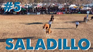 APADRINANDO Nº356  30º FIESTA PATRIAS  SALADILLO  BUENOS AIRES 🐎 [upl. by Edals422]