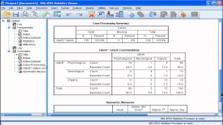 Kappa  SPSS part 2 [upl. by Yellac]