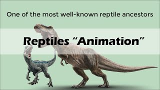 REPTILES Animation [upl. by Nongim]