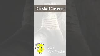 Carlsbad Caverns National Park newmexico nationalparks roadtrip [upl. by Kreindler]