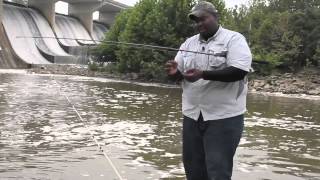 How to Fish With Chicken Liver  How to Catch Catfish [upl. by Hazlett]