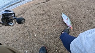 【広島県ショアジギング釣行】地磯に青物を狙いにきました [upl. by Alvinia952]