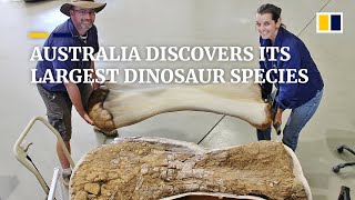 Australian scientists discover one of the world’s largest dinosaur species [upl. by Demp538]