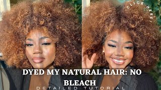 How To DYE Hair HONEY BLONDE  NO BLEACH Step by Step Natural HAIR Ombre Color [upl. by Akemat]