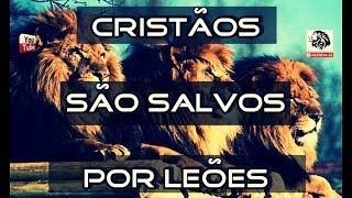 Cristãos Salvos por Leões 🎓 ✝ [upl. by Auhsot]