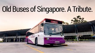 Old Buses of Singapore A Tribute [upl. by Edals897]