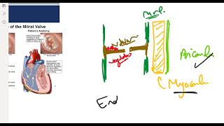 Infective Endocarditis [upl. by Eseenaj]