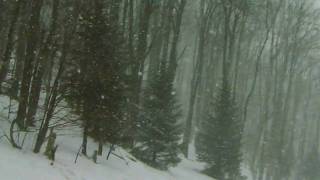 A run down Salamander at Timberline Ski Resort Davis WV [upl. by Korie155]