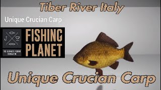 Unique Crucian Carp  Tiber River Italy  Fishing Planet Guide [upl. by Alemahs]