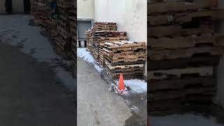 Flipping Pallets For Easy Cash Where To Find Free Pallets subscribe for training [upl. by Mandelbaum]