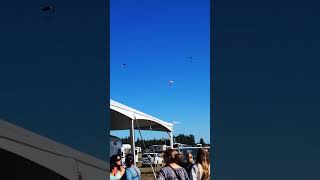 OYSTERFEST pnw penelope music skydiving shelton food drink beergarden shorts [upl. by Garwood]