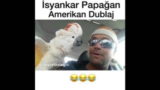 Ateist Papağan Videolari  Amerikan Dublaj [upl. by Xino498]