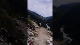 Horse riding near pangboche village everest base camp trekking trail horseriding ebctrek [upl. by Brenner]