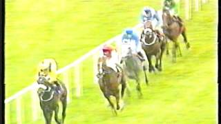 1998  Curragh  Tattersalls Gold Cup  Daylami [upl. by Kenway]