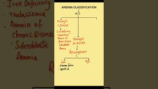 Classification of Anemia  Anemia Classification  MicrocyticNormocyticMacrocytic Anemia [upl. by Hakilam]