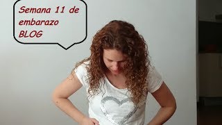 Semana 11 de embarazo blog  11 week pregnancy vlog [upl. by Readus]