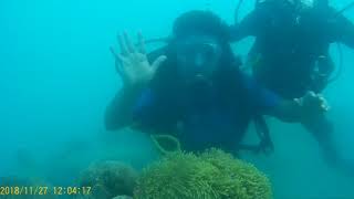 Scuba Diving at Havelock Island Andaman amp Nicobar Islands in India [upl. by Cami455]