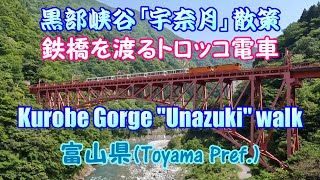 4K黒部峡谷「宇奈月」鉄橋を渡るトロッコ電車（富山県）Kurobe Gorge quotUnazukiquot walk Toyama Pref [upl. by Eerihs]