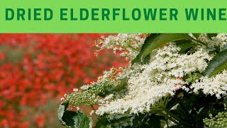 Dried Elderflower wine recipe and method [upl. by Rettke]