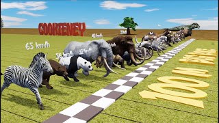 Big Race 30 Wild Animals which is the fastest animal  CookieNey [upl. by Belva]