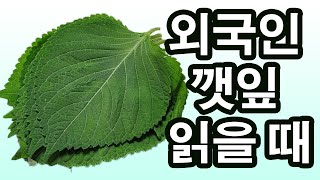 데이브 외국인 깻잎 읽을 때 [upl. by Fritzie]