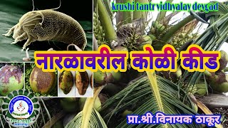 नारळावरील कोळी कीड नियंत्रणएरीयोफाईड माईट Major Insect on CoconutNarla varil Eriophyid mite Kid [upl. by Yliah911]