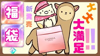 【GODIVA 2022年の福袋 開封】「ゴディバ ニューイヤー ハッピーバッグ 2022」大満足 [upl. by Dnob]