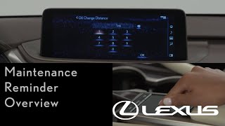 HowTo Set a Maintenance Reminder  Overview  Lexus RX [upl. by Jorey]