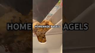 Wholegrain everything bagels Bagels Homemade HomemadeBagels Cooking Housewife [upl. by Auliffe897]