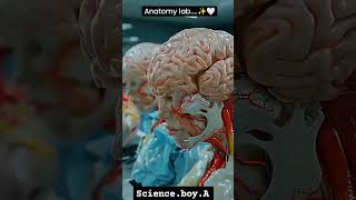 Anatomy lab mbbs b pharmacy study [upl. by Gina924]