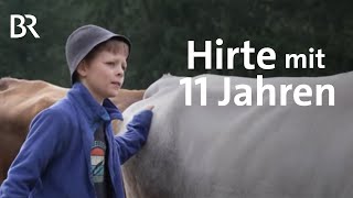 Ferien auf Allgäuer Alpe Kleinhirte mit 11 Jahren  Zwischen Spessart und Karwendel  BR [upl. by Atsirk]