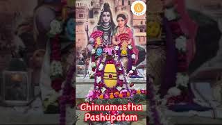 Day 8 chinnamasta pashupatam [upl. by Caylor]