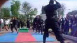 Exhibicion Bujinkan Budo Taijutsu Guadalajara [upl. by Aural]