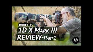 Canon 1DX Mark III Feature packed Beast of a Camera A Review [upl. by Saddler]