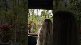 ubud ubudbali travel goodvibes vibes good food nice girl hair [upl. by Wynnie]