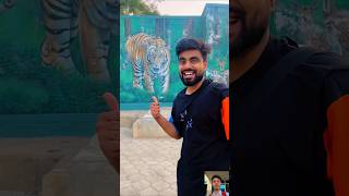 Watch Full Vlog of Jungle Safari 😍 dushyantkukreja shorts [upl. by Eidnyl407]