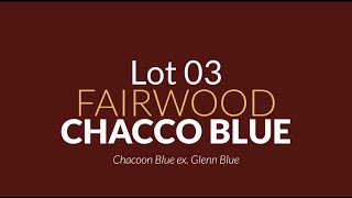 Lot 03  Fairwood Chacco Blue Chacoon Blue ex Glenn Blue [upl. by Yetnruoc]